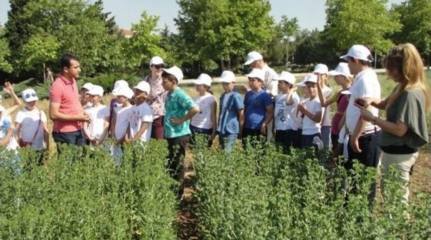 Tekirdağ&rsquo;da &Ccedil;ocuk Tarım Kampı