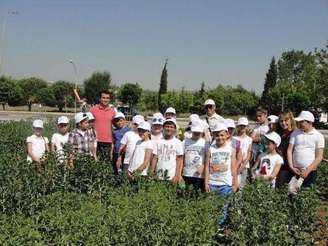 Tekirdağ’da Çocuk Tarım Kampı