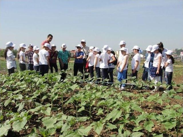 Tekirdağ’da Çocuk Tarım Kampı