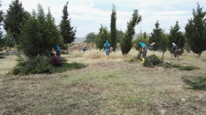 Mezarlıklarda Bayram Mesaisi S&uuml;r&uuml;yor