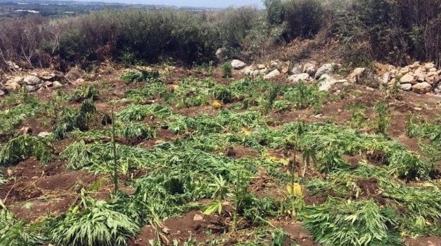 Manavgat&rsquo;ta Uyuşturucu Operasyonu