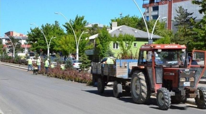 Ağrı Belediyesi Peyzaj &Ccedil;alışmasına Devam Ediyor
