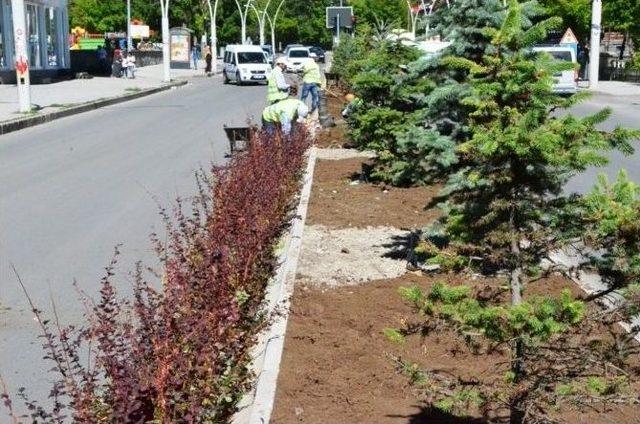 Ağrı Belediyesi Peyzaj Çalışmasına Devam Ediyor