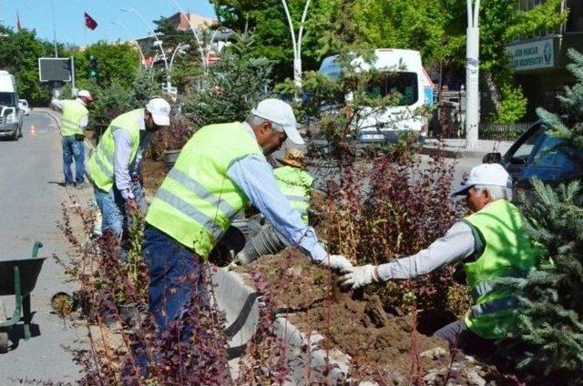 Ağrı Belediyesi Peyzaj Çalışmasına Devam Ediyor