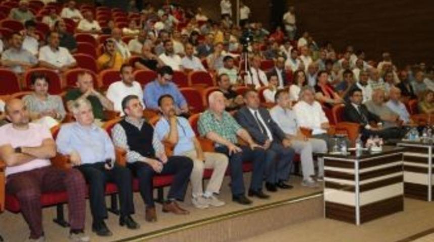 Akademisyenler Cevizin Faydalarını Masaya Yatırdı