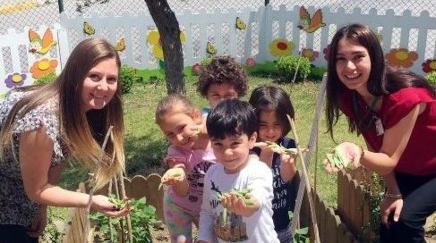 Minik &Ouml;ğrenciler Ektiklerini Bi&ccedil;ti