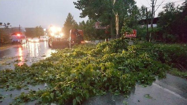 Kocaeli’de Aniden Bastıran Yağmur Hayatı Felç Etti