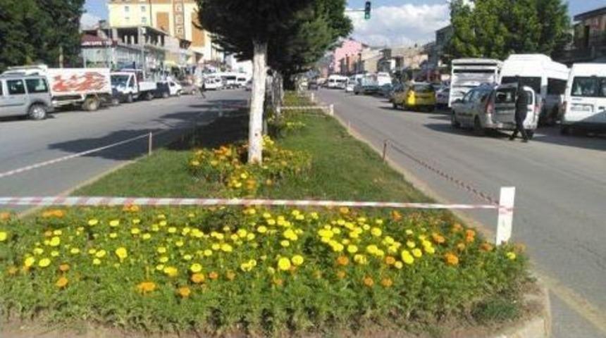 G&uuml;roymak Rengarenk Oldu