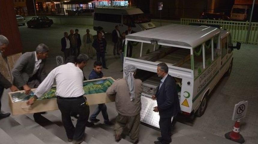 K&ouml;yde K&ouml;pek Kavgası Kanlı Bitti