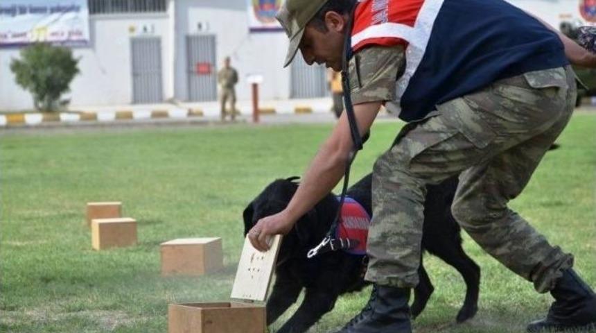 Erzincan&rsquo;da Jandarma Teşkilatının 177&rsquo;nci Yaşı Kutlandı