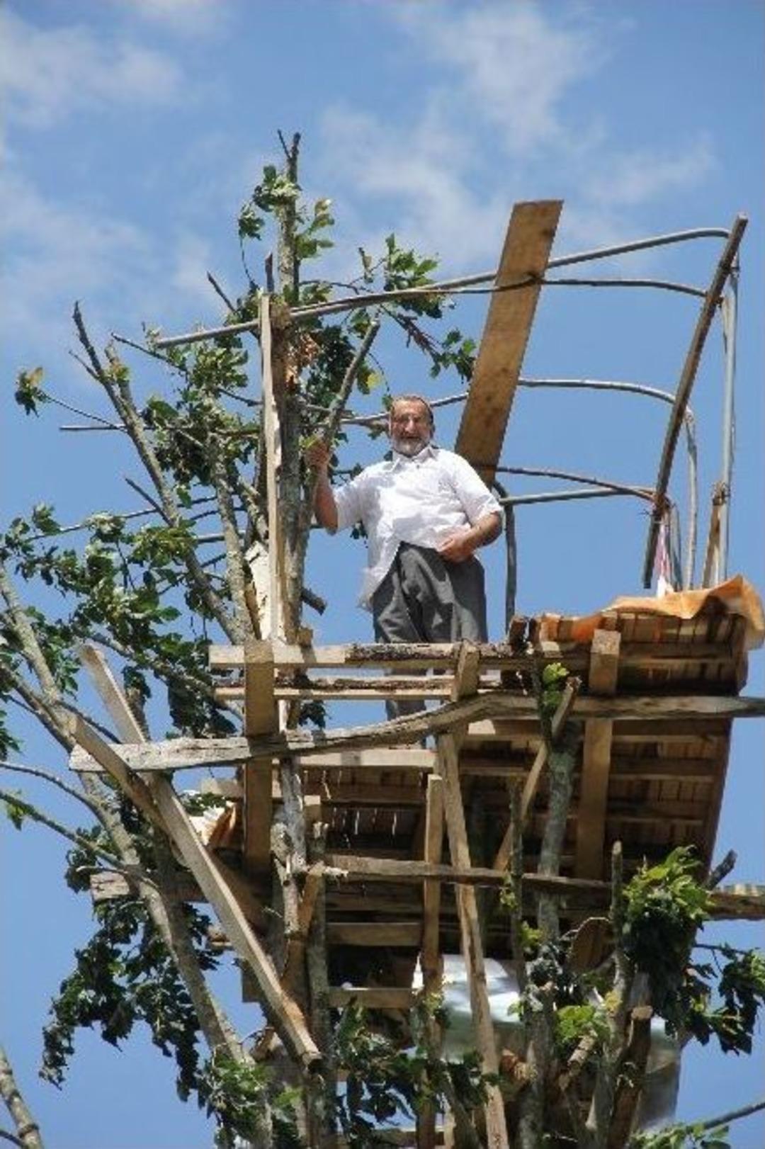 Rizeli&rsquo;nin Ayı İle İmtihanı G&uuml;rgen Ağacının Tepesinde Bitti