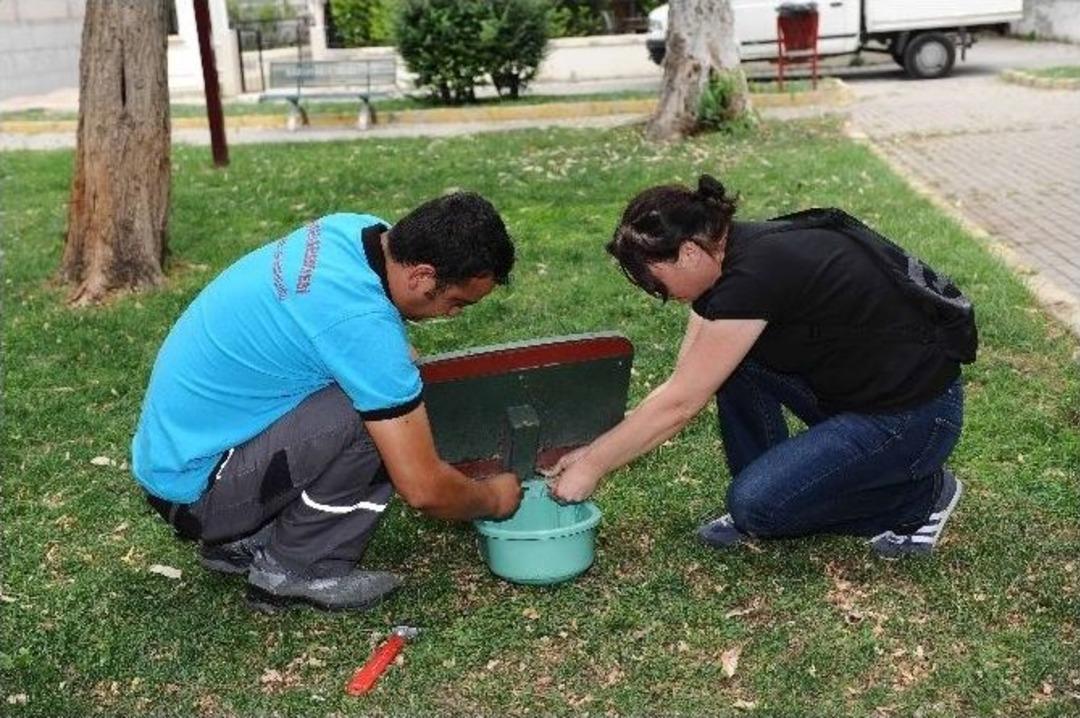Karşıyaka, Can Dostlara Sahip &Ccedil;ıktı