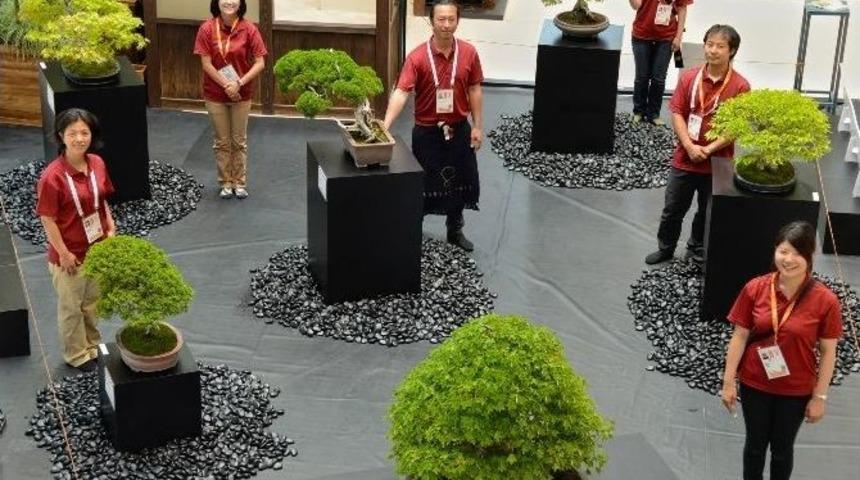 Expo 2016&rsquo;da 140 Yıllık Bonsai Sergileniyor