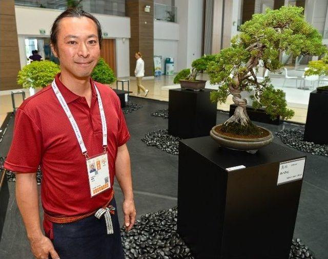 Expo 2016’da 140 Yıllık Bonsai Sergileniyor