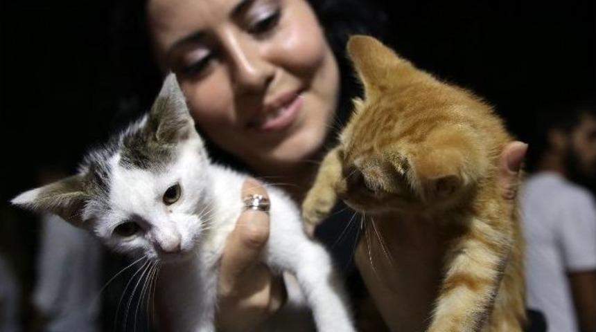 Ramazan&rsquo;da Sokak Hayvanları Unutulmadı