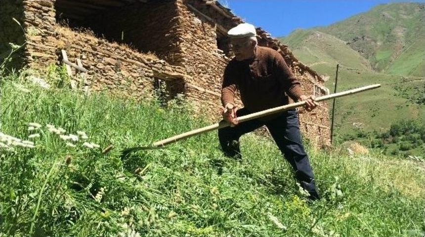 Bah&ccedil;esaray&rsquo;ın Robinson&rsquo;u İş Başında