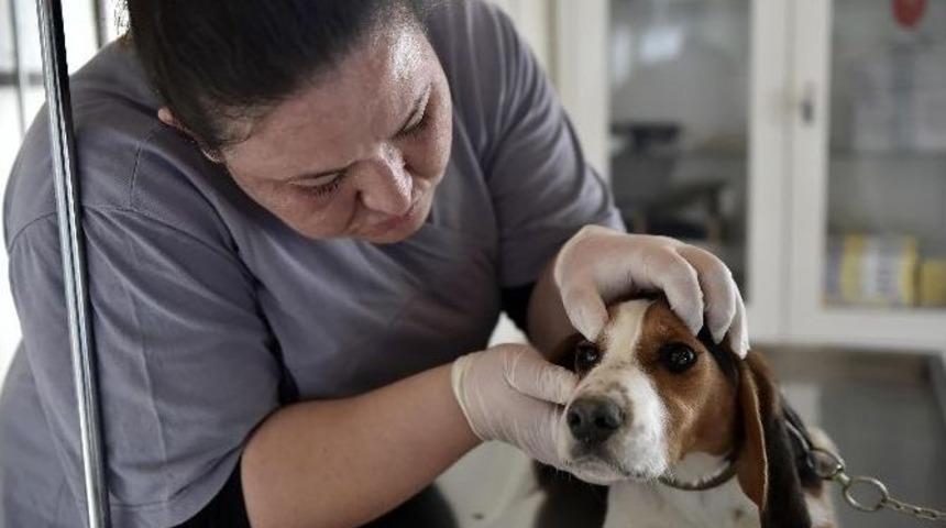 Mamak Belediyesi&rsquo;nden &Ouml;rnek Aşı Kampanyası