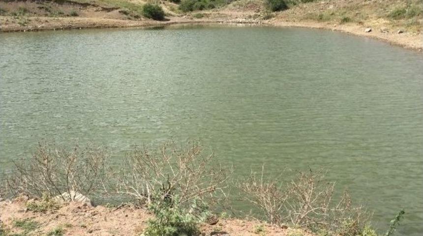 Üzüm Bağları Suya Kavuşuyor