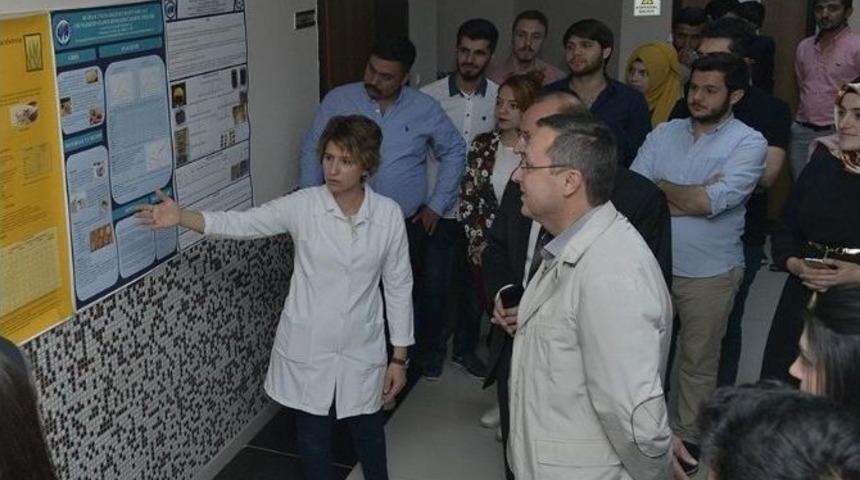 Gıda M&uuml;hendisliği &Ouml;ğrencilerinden Poster Sergisi