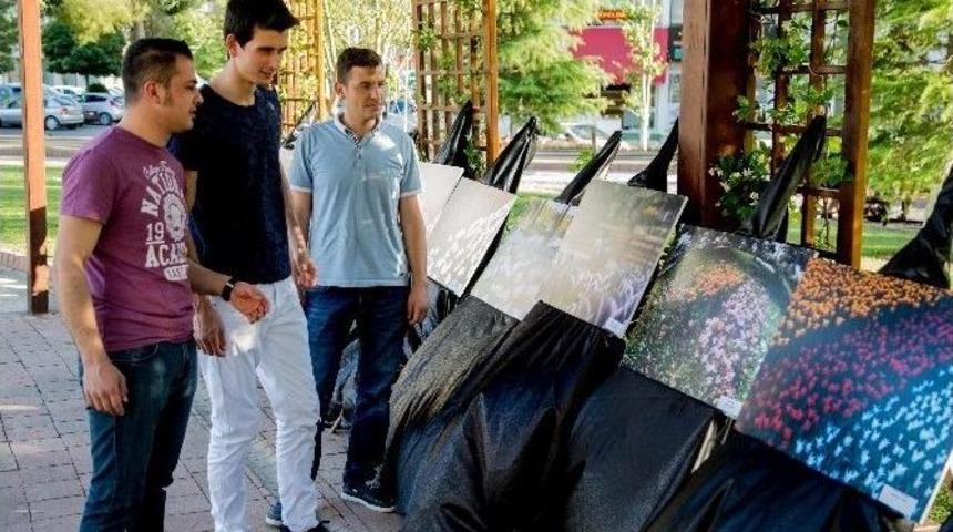 “dülükte Lale Devri” Sergisi Yoğun İlgi Gördü