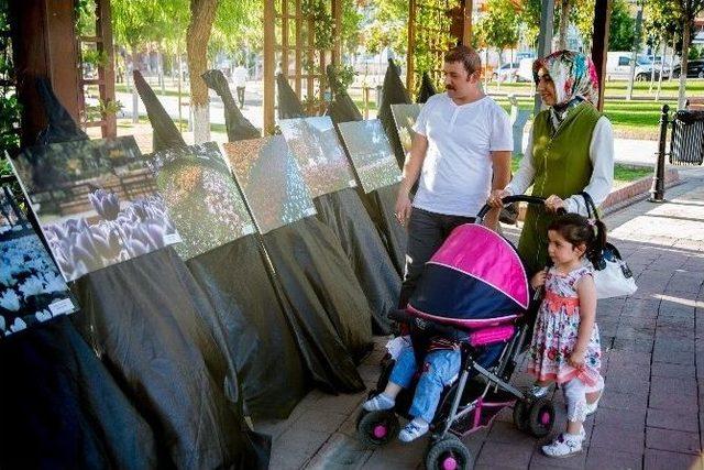 “dülükte Lale Devri” Sergisi Yoğun İlgi Gördü