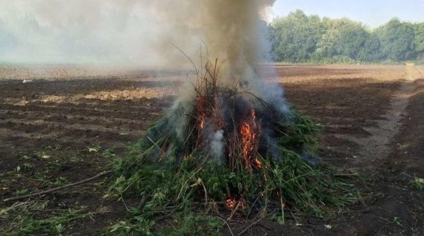 D&uuml;nya Miras Listesine Giren Hevsel Bah&ccedil;eleri&rsquo;nde Uyuşturucu Ele Ge&ccedil;irildi