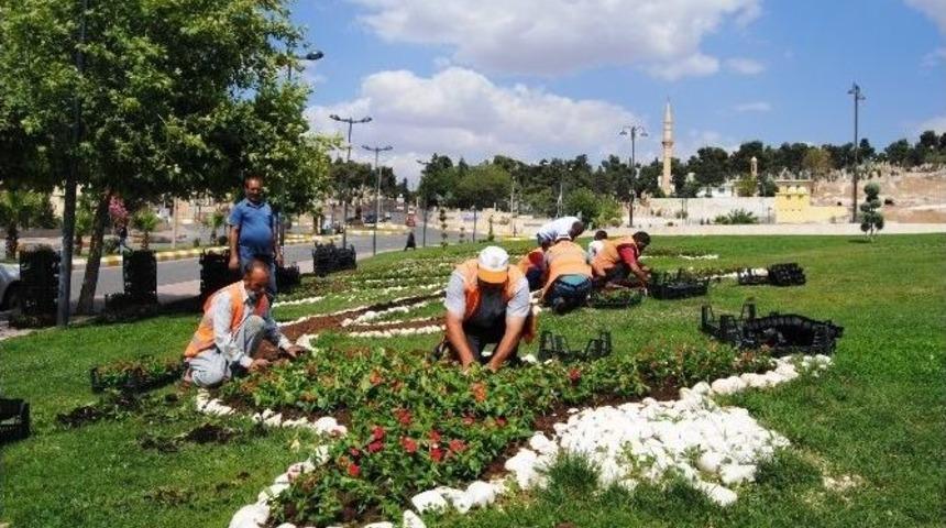 Şanlıurfa&rsquo;da Yeşillendirme &Ccedil;alışmaları S&uuml;r&uuml;yor