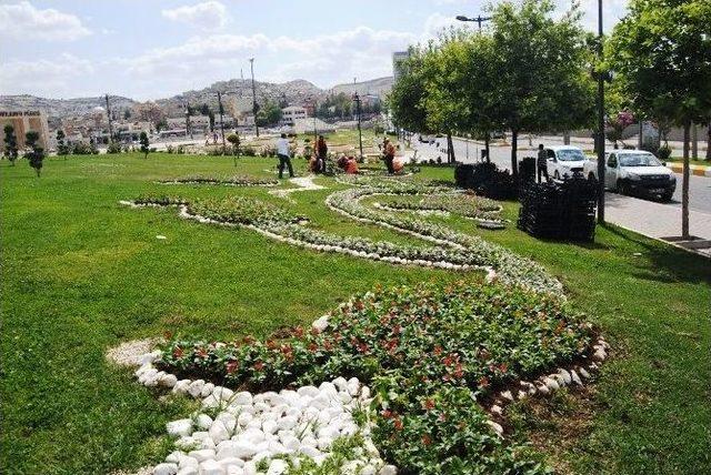 Şanlıurfa’da Yeşillendirme Çalışmaları Sürüyor