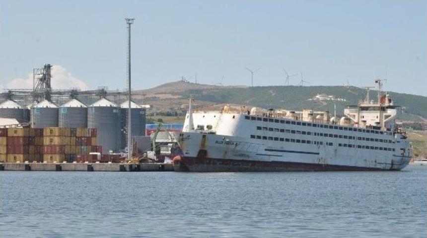 Bandırma&rsquo;da Angus Tepkisi