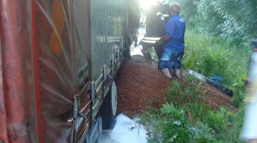 Fındık Y&uuml;kl&uuml; Tır Yandı