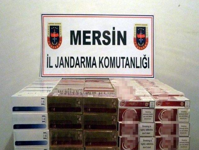 Jandarmadan Uyuşturucu Operasyonu