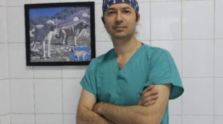 Veterinerlerden Karne Hediyesi Uyarısı