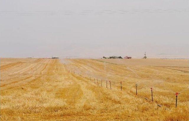 Kaçak Elektrik Çölleşme Riskini Tetikliyor