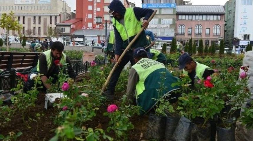 Yakutiye Belediyesi 5 Bin Ağa&ccedil; Dikti