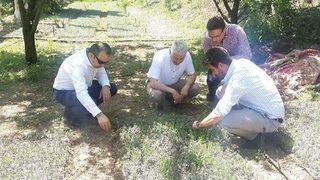 Üreticiye Mor İnci Desteği