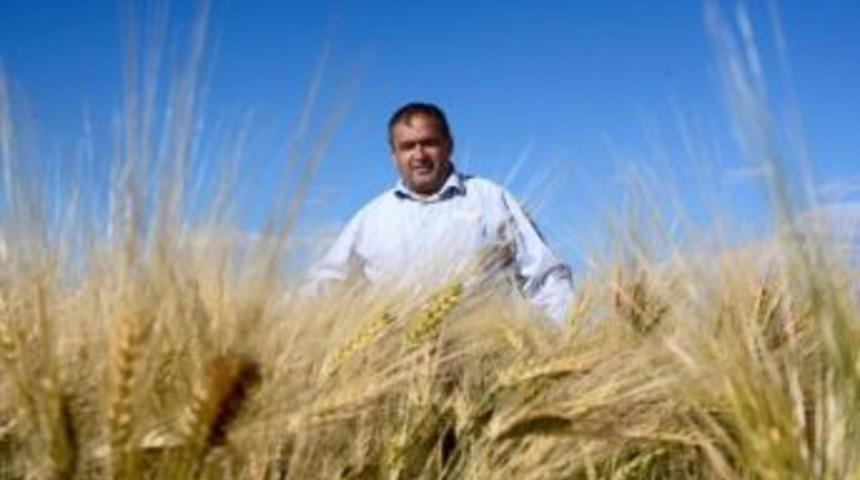 Aksaray&rsquo;da Hasat D&ouml;nemi Başlıyor