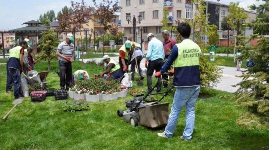 Paland&ouml;ken &Ccedil;i&ccedil;ek Bah&ccedil;esi Gibi