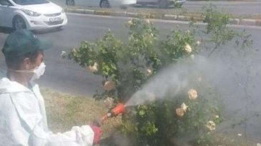 Edirne Belediyesi Islah &Ccedil;alışmalarına Devam Ediyor