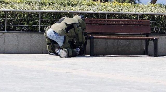 Antalya’da Şüpheli İki Valiz Polisi Alarma Geçirdi