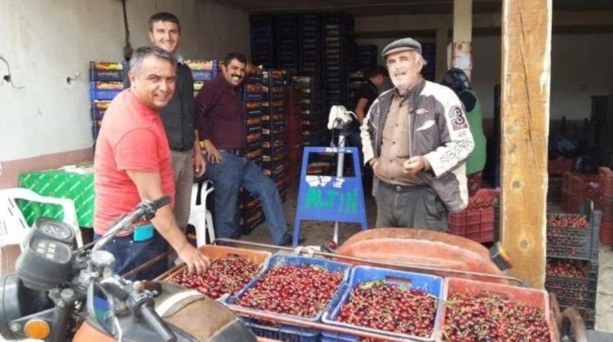 Pazarlar&rsquo;da Kiraz Sezonu A&ccedil;ıldı