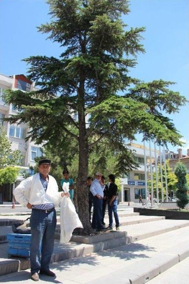 (özel Haber) Aksaray’da Arı Yakalama Operasyonu