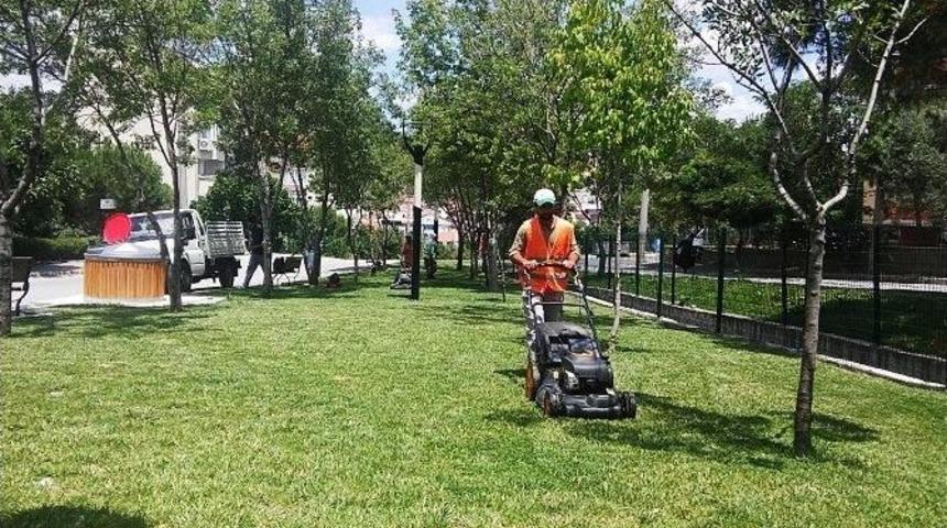 Karesi&rsquo;de Yeşil Seferberlik