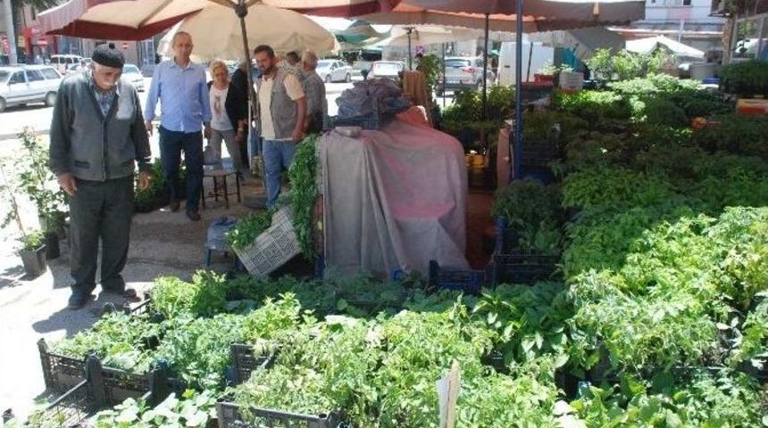 Doludan Zarar G&ouml;ren &Ccedil;ift&ccedil;i Yeninden Fide Dikiyor