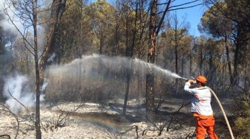 Antalya&rsquo;da Orman Yangın