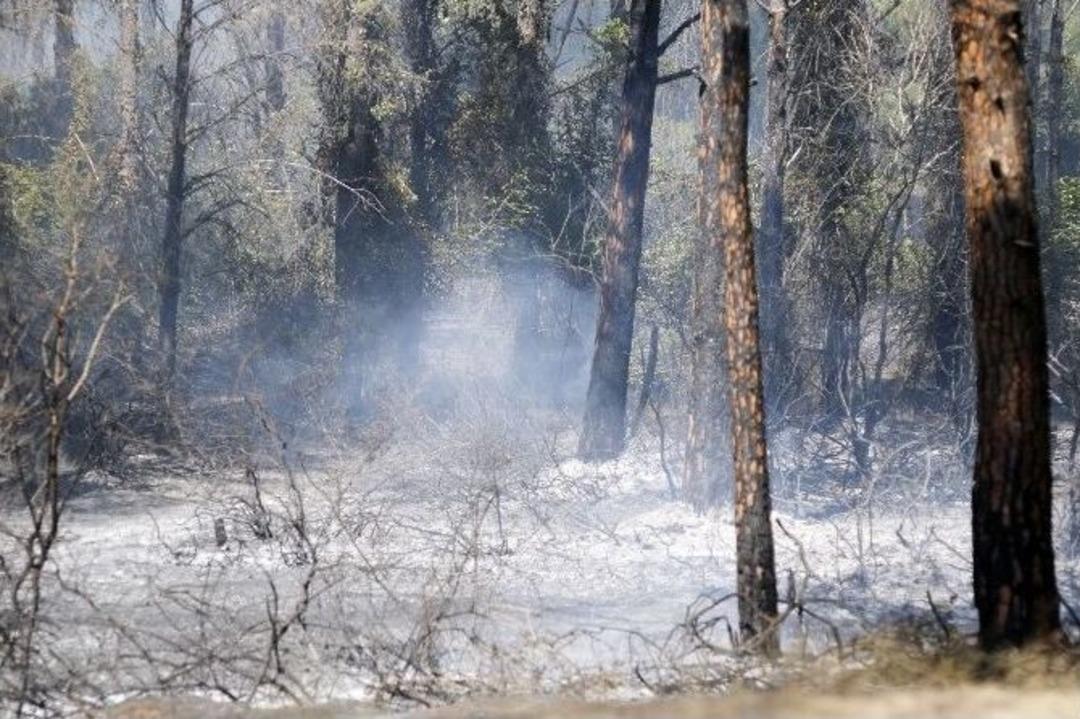 Antalya&rsquo;daki Orman Yangını Kontrol Altına Alındı