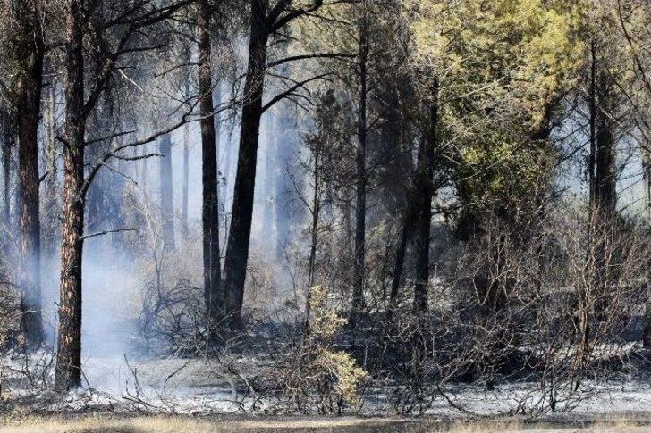 Antalya’daki Orman Yangını Kontrol Altına Alındı G1