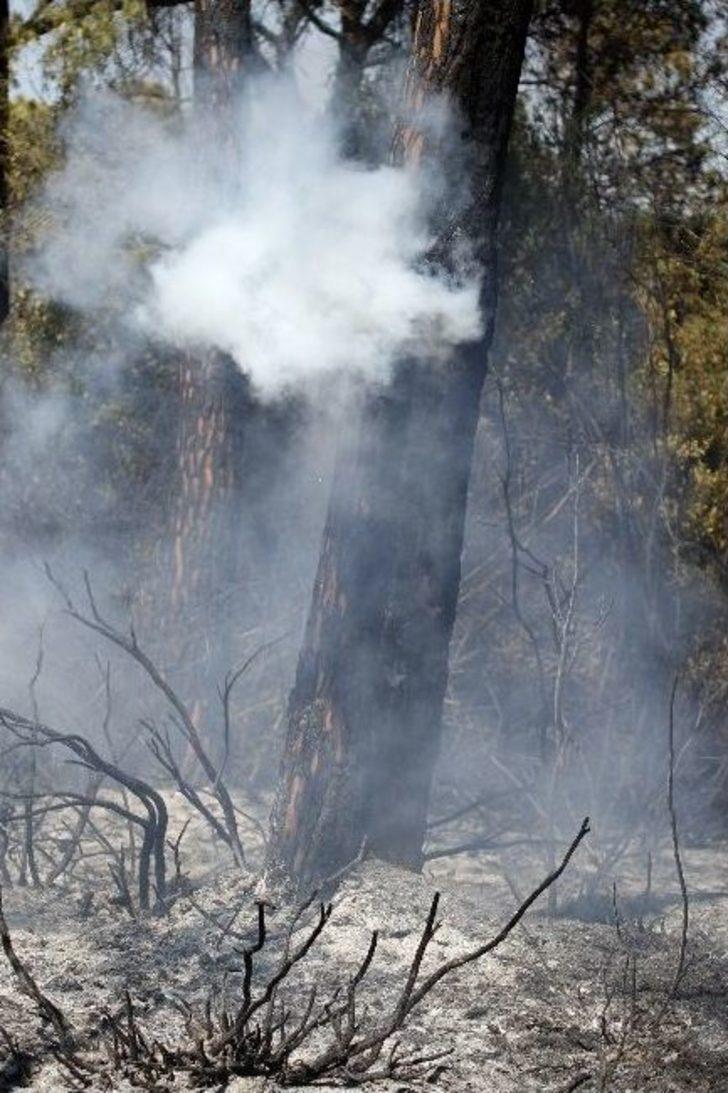 Antalya’daki Orman Yangını Kontrol Altına Alındı G3