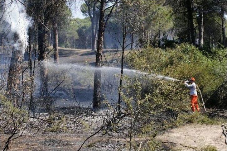 Antalya’daki Orman Yangını Kontrol Altına Alındı G4