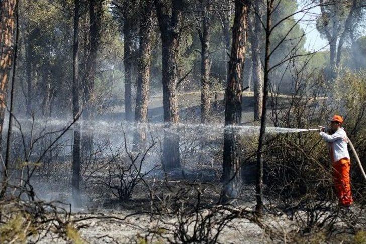 Antalya’daki Orman Yangını Kontrol Altına Alındı G5