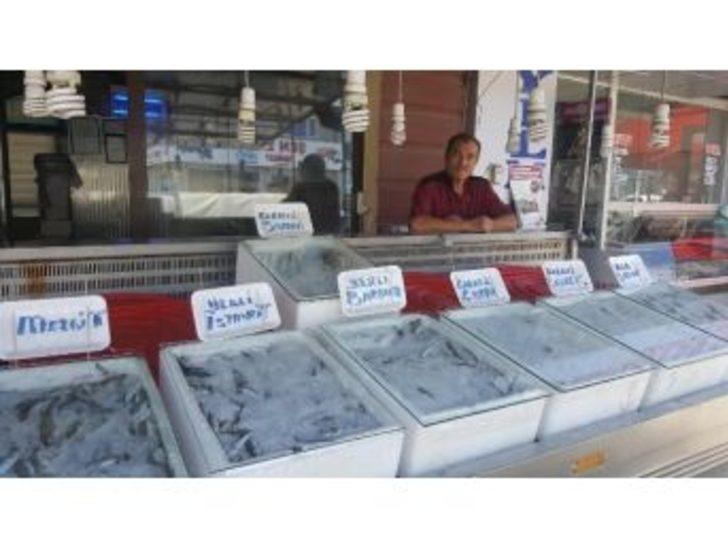 Alaplı’da Ramazan Ayında Balık Tüketimi Azaldı